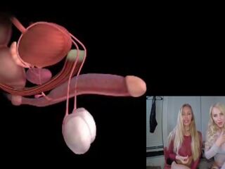 Male Orgasm Anatomy Explained Educational JOI: Free xxx clip 85